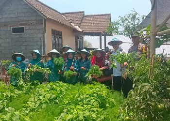 Sinergitas 3 Pilar Wujudkan Kampung PKK Berkelas desa Genting, Cepogo.
