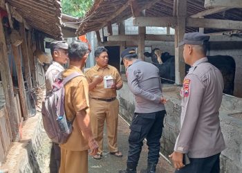 Upaya Kolektif Polri, TNI, dan Masyarakat Boyolali Hadapi Wabah PMK