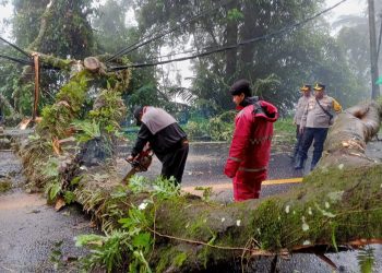 Akses Jalur Medan-Brastagi Terputus, TNI-Polri Bersinergi Lakukan Evakuasi