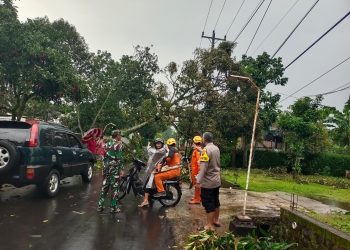 Hujan Deras dan Angin Kencang Terjang Boyolali, Polres dan BPBD Sigap Evakuasi Pohon Tumbang