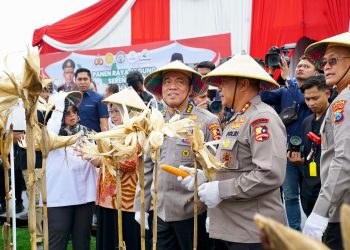 Irwasum Polri Pimpin Panen Jagung Serentak di Madiun,Wujudkan Astacita