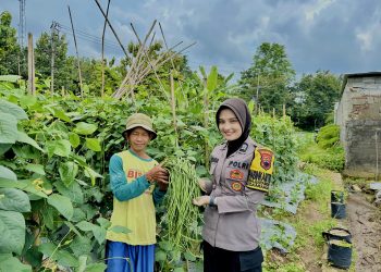 Dari Pekarangan untuk Negeri; Kiprah Polwan Bhabinkamtibmas dalam Asta Cita Ketahanan Pangan