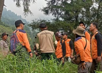 Polsek Cepogo Bersama TNGM, TNI, dan Relawan Tingkatkan Kewaspadaan Cegah Kebakaran Hutan di Lereng Merapi