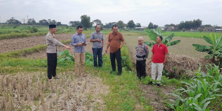 Sambut HUT Bhayangkara ke-79, Polsek Teras Cek Lokasi Bantuan Sumur Bor untuk Dukung Pertanian Warga Desa Kopen