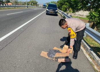 Rombongan Wakapolres Boyolali Temukan Ceceran Paku di Tol KM 495A, Pengemudi Truk Diminta Perketat Keamanan Muatan