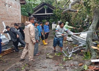 Hujan deras disertai angin kencang, Pohon tumbang timpa rumah warga di Sawit Boyolali