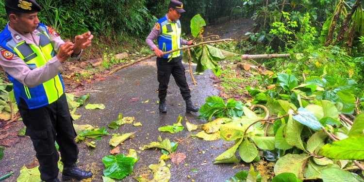 Respons Cepat Polsek Klego Tangani Pohon Tumbang dan Dampak Angin Kencang di Desa Jaten